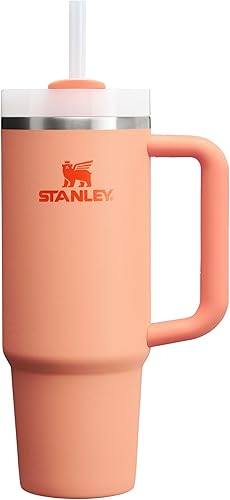 STANLEY Quencher H2.0 Tumbler with Handle and Straw 30oz