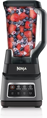 Ninja Professional Plus Blender Max Power Smoothie Blender