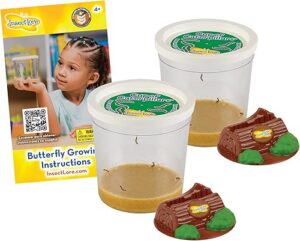 Insect Lore Two Cups of Caterpillars Butterfly Garden Kit