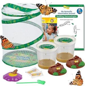 Insect Lore Butterfly Garden with 10 Live Baby Caterpillars