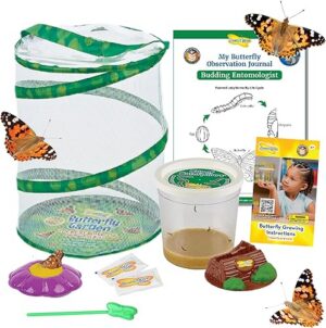 Insect Lore Butterfly Garden with 5 Live Baby Caterpillars