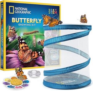 National Geographic Butterfly Growing Kit Butterfly Habitat